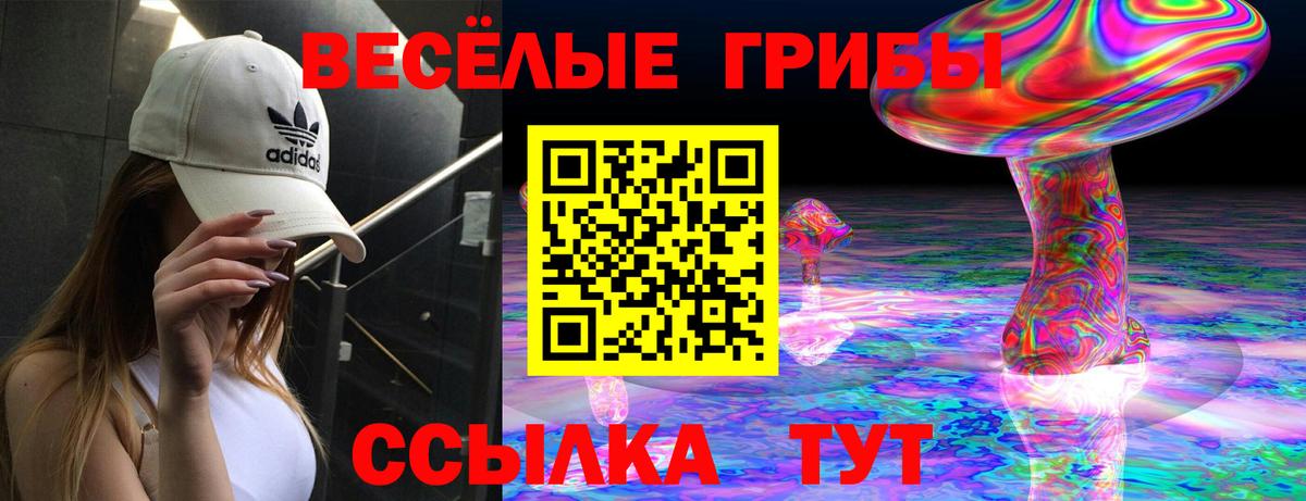 Псилоцибиновые грибы Cubensis  Псилоцибиновые грибы прущие грибы  Вход с VPN  Унеча 